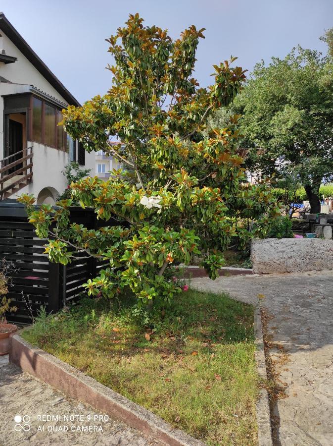 Guesthouse Suzy Pula Zewnętrze zdjęcie